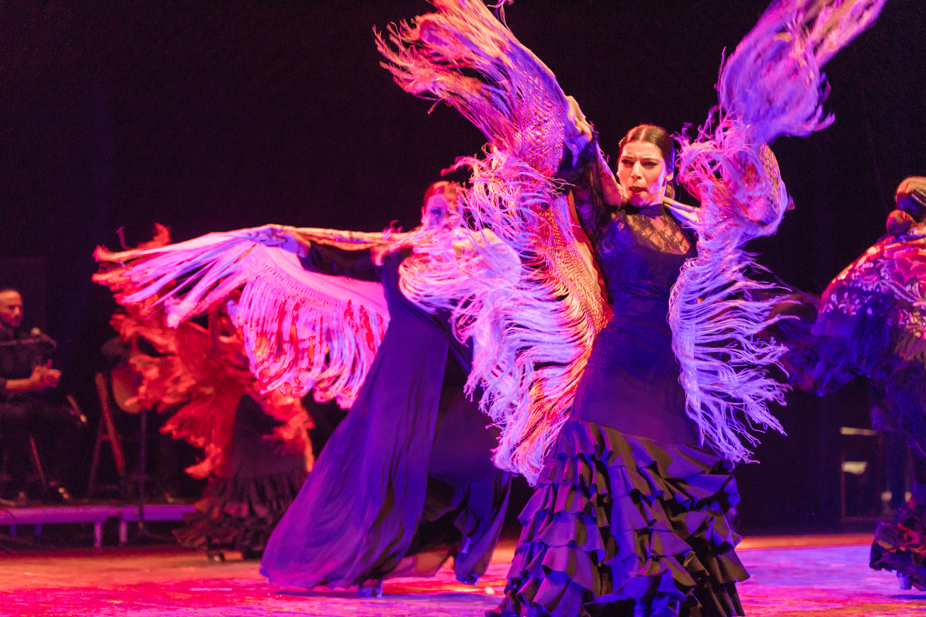 espectáculo flamenco bata de cola y mantón