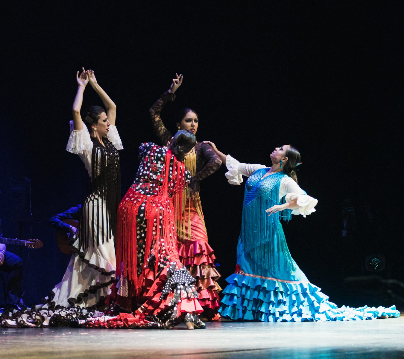 espectáculo flamenco compañía bailaora