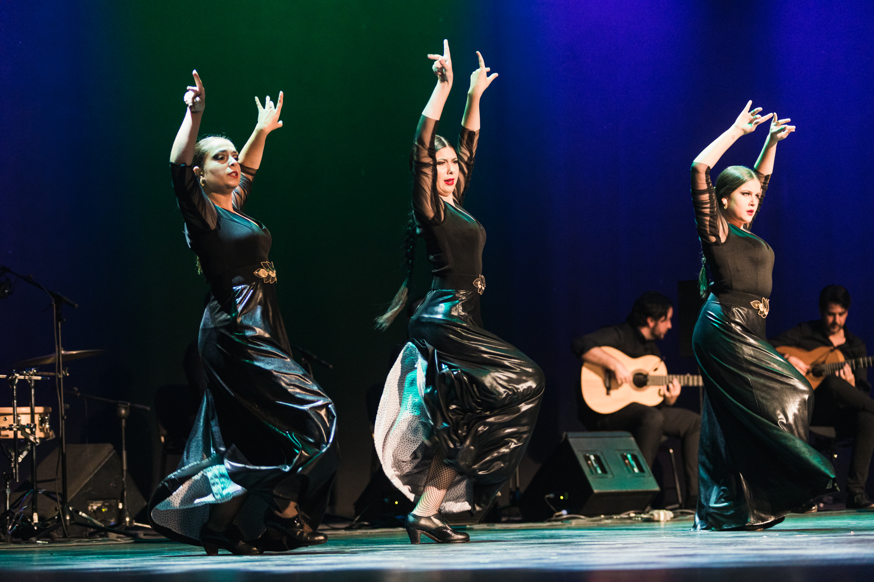 espectáculo flamenco nivel medio-alto
