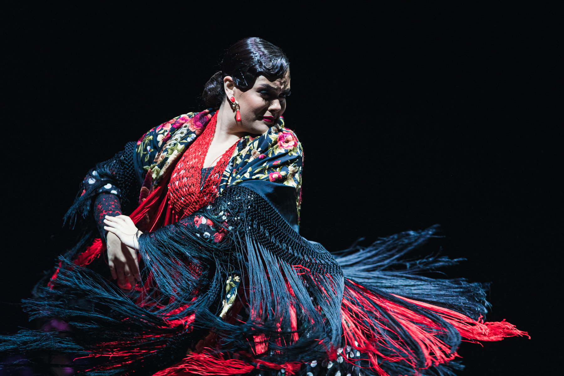 espectáculo flamenco compañía bailaora